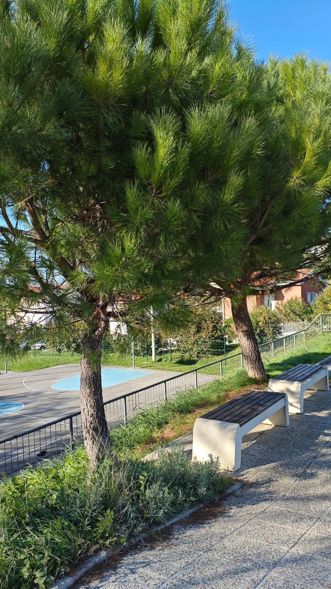 Apartments Tomisic 코페르 외부 사진